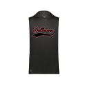 Men's CoolDry Sleeveless Hoodie